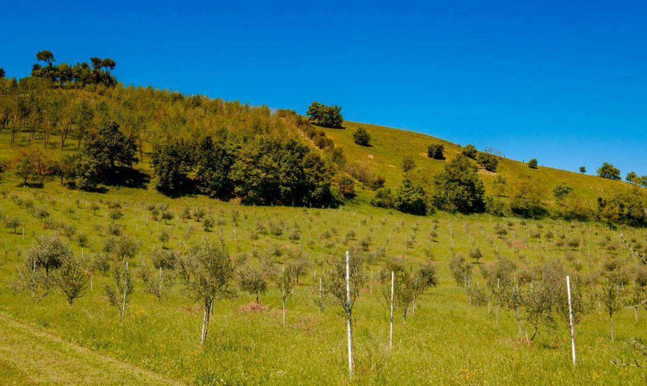 La Quercia - Bolognarooms Sasso Marconi Exterior photo